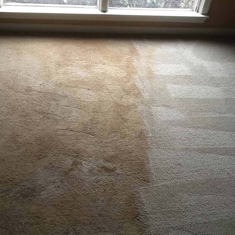 Before and After Carpet Cleaning Results