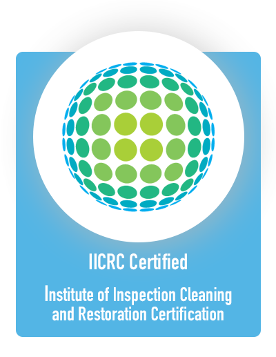 IICRC Certified Firm Icon