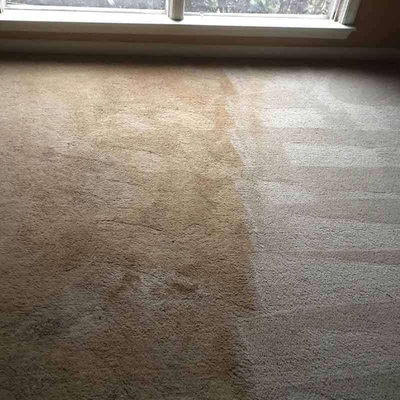 residential and commercial Carpet Cleaning in Amherst TN