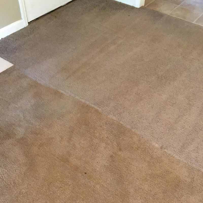 Carpet Cleaning Results