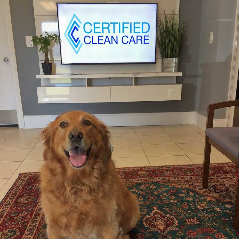 Pet Odor and Stain Removal in Maryville TN
