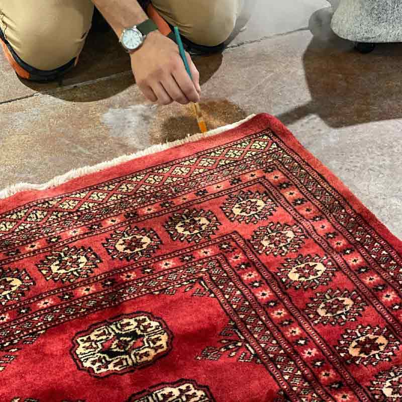 Rug Cleaning in Knoxville TN